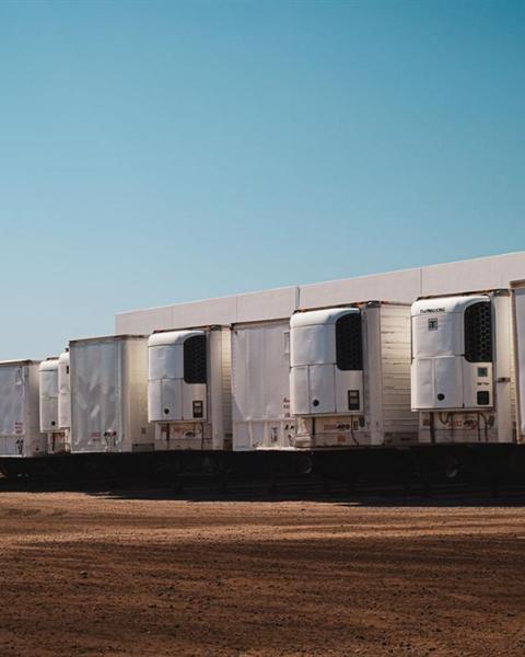Row of refrigerated trailers parked at a yard